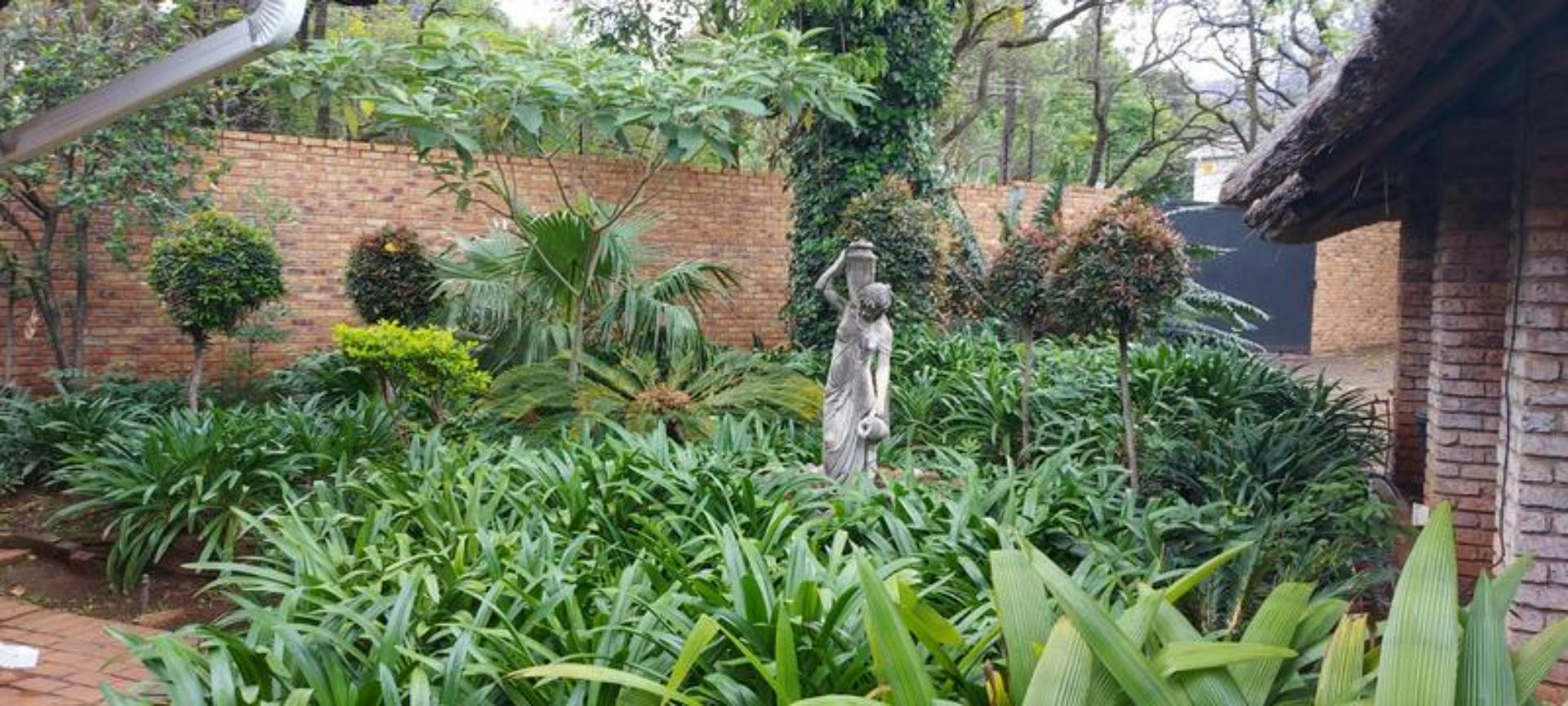 Garden (19) Garden (19)